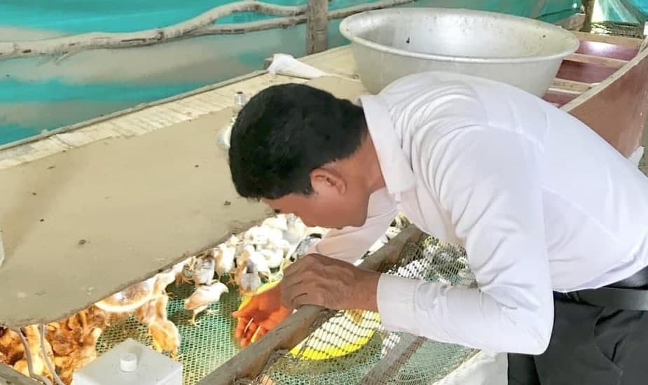 Ny Nak tends to chickens on a farm prior to his arrest on incitement and public insult charges.