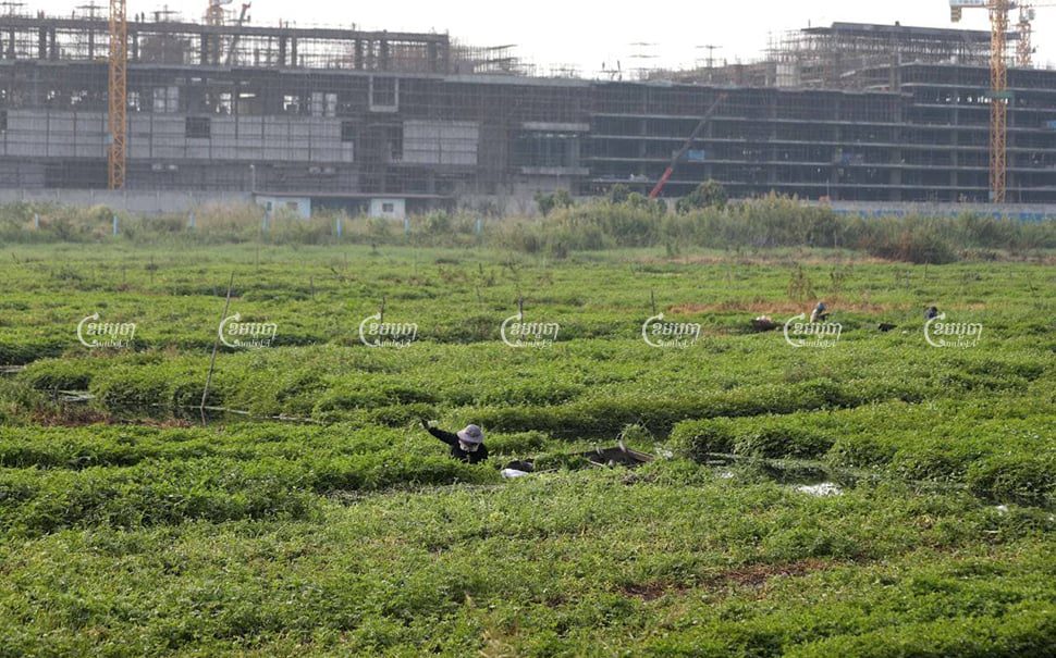 UN experts are concerned over development activities that have resulted in the in-filling of the Boeung Tompoun and Cheung Ek wetlands in southern Phnom Penh. CamboJA/Pring Samrang