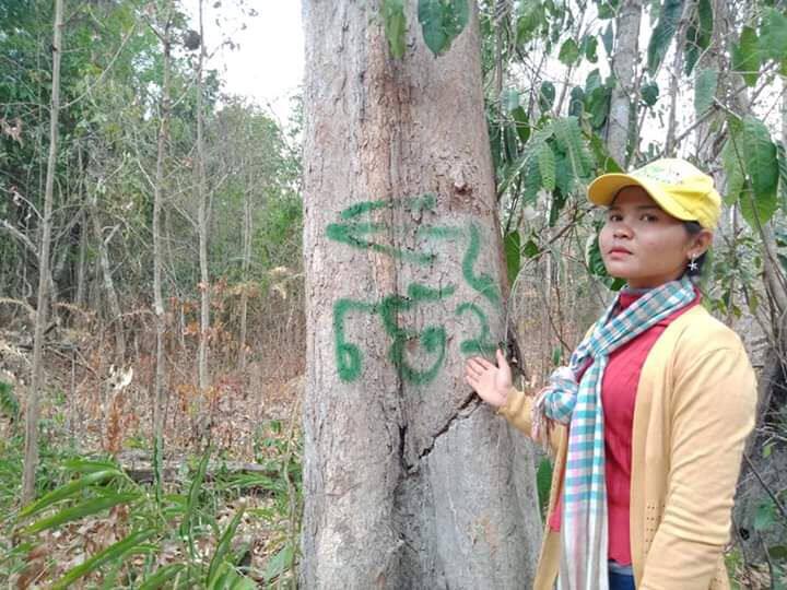 Met Malen patrols the forest and protects natural resources from loggers in Phnom Chreap Treyksan community, April 2020. Supplied