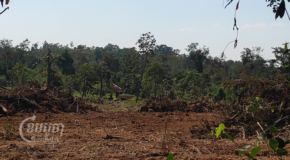 Machinery clears the forest in an area owned by a gold mining company in Romdeng area, Rovieng district, Preah Vihear province. Photo taken on December 14, 2021. CamboJA / Vann Vichar