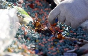 Cambodia's authorities prepare confiscated drugs before they burn them during a ceremony to mark International Day against Drug Abuse and Illicit Trafficking, in Phnom Penh, Picture taken June 26, 2019. CamboJA/ Pring Samrang