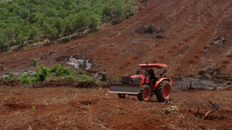 A 7 Makara Phary tractor clears contested farmland under cultivation by a Tang Chea villager in Andong Meas district, Ratanakiri province in May, 2023. (CamboJA/Jack Brook)