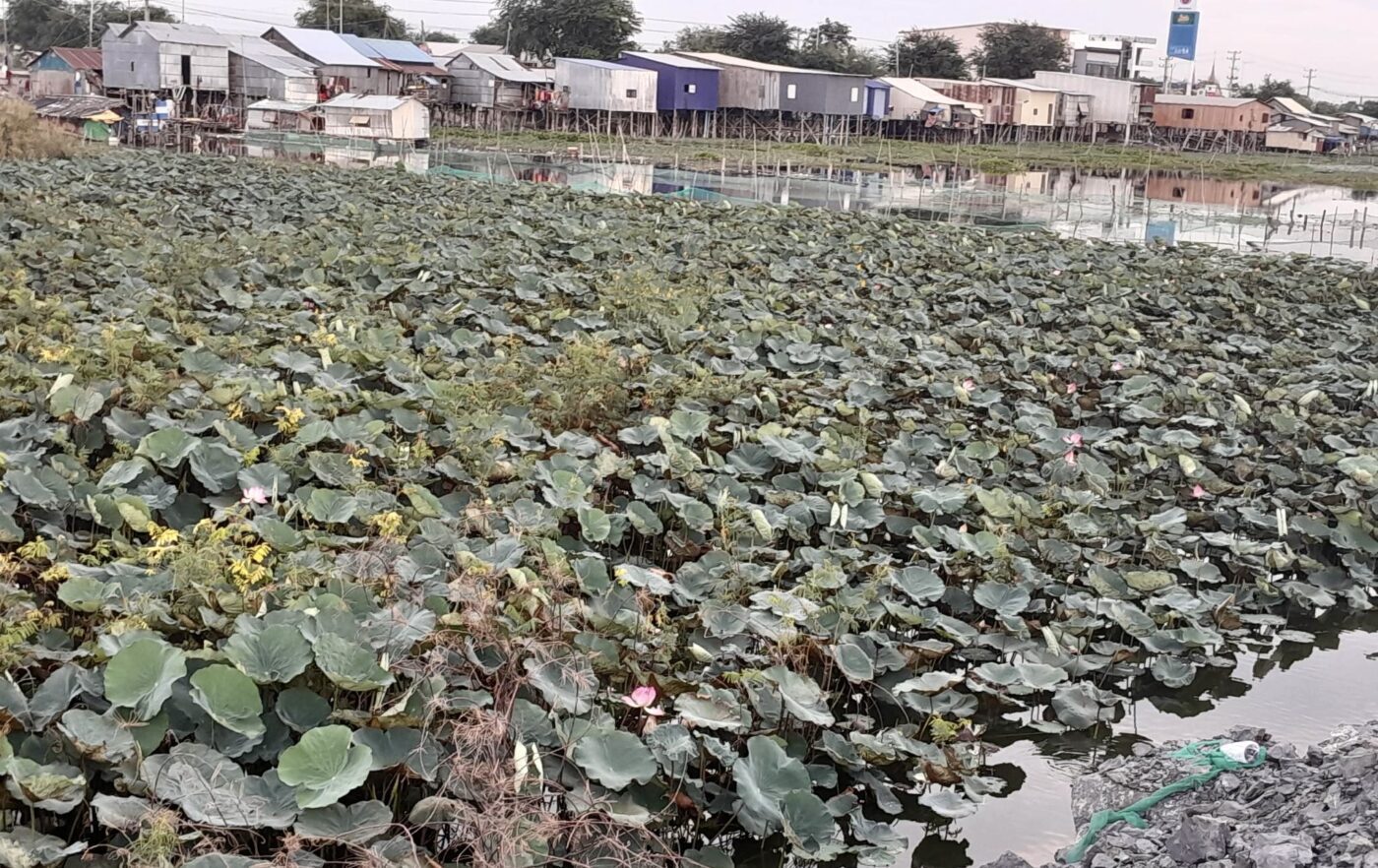 The view from behind the houses of the Boeung Tamok community, and where the authorities will soon implement the main canal development project. (Supplied)