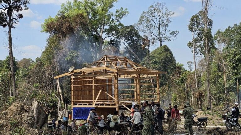 Ratanakiri provincial authorities inspect the Toen reforestation area where illegal clearing was conducted by unknown people, January 2024. (Supplied)
