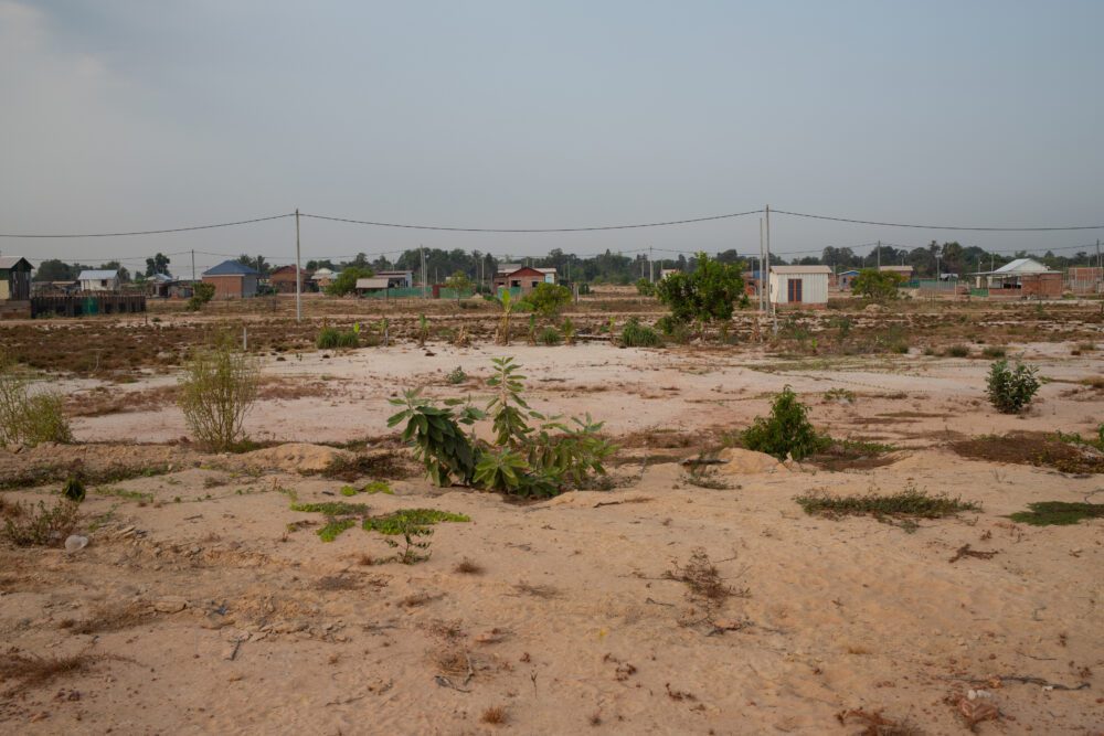 Shrubbery in a Run Ta Ek Field. Residents say the site’s lack of trees has contributed to excess heat, May 1, 2024 (Fiona Kelliher)