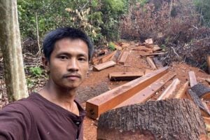 Ma Chettra, an environmental activist, stands next to a big tree, which he claims was cut down in Preah Roka Wildlife Sanctuary, during a forest patrol with community members on May 5, 2025.