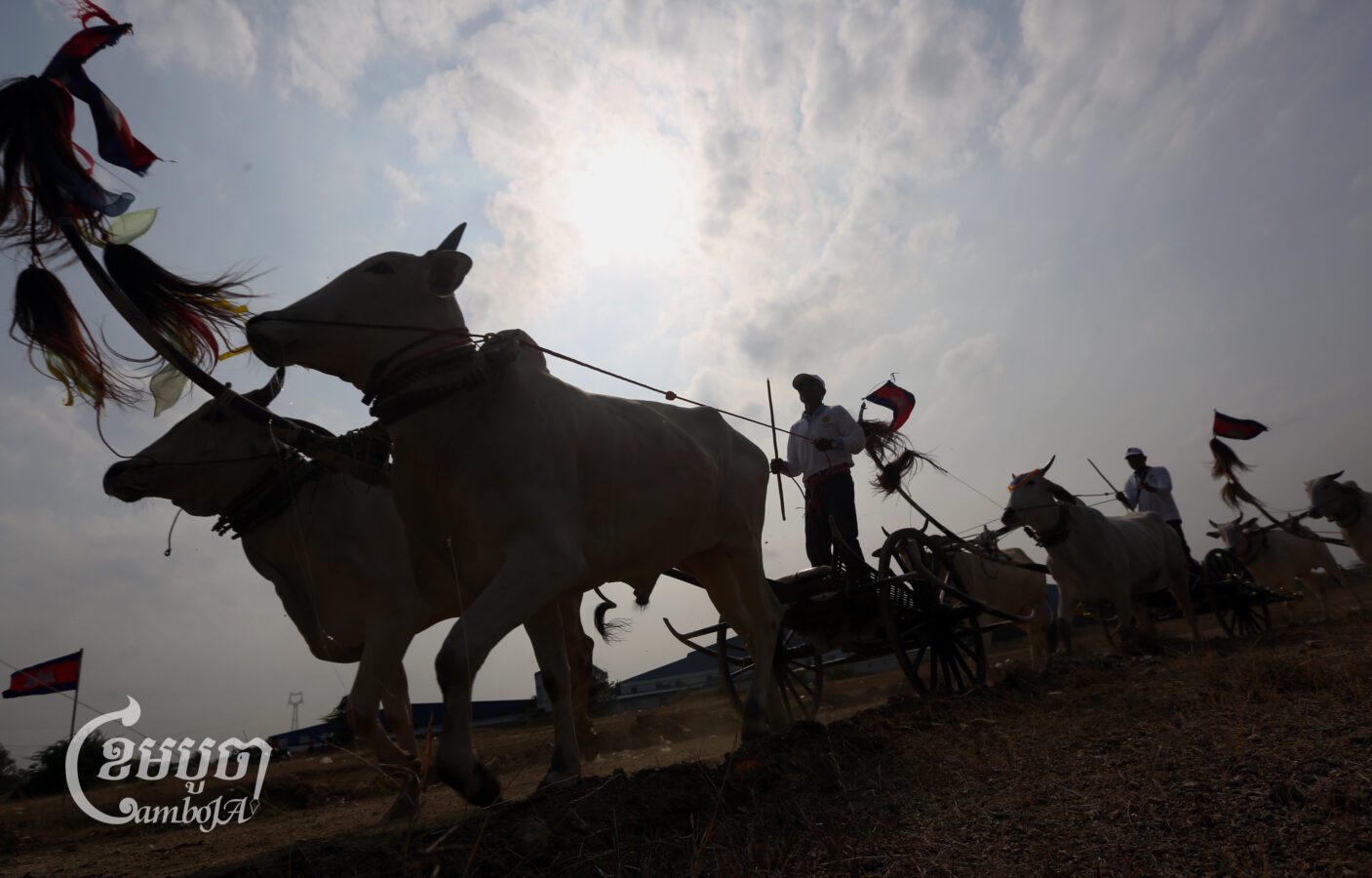 Villagers race their Ox-carts ahead of Khmer New Year in Samraong Tong District's Kampong Speu province on April 7, 2025. (CamboJA/Pring Samrang)