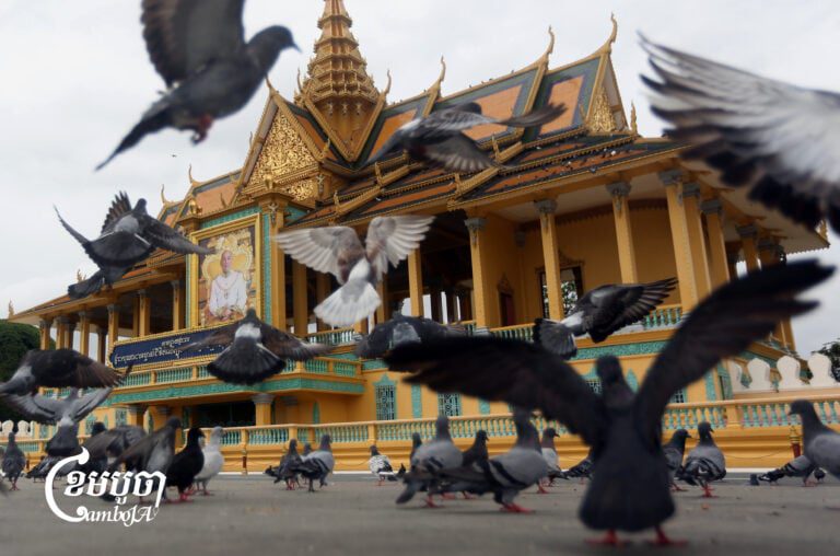 Cambodia prepares to celebrate the 21st anniversary of the King Norodom Sihamoni's Coronation Day in central Phnom Penh, which takes place on October 29, 2025. (CamboJA/Pring Samrang)